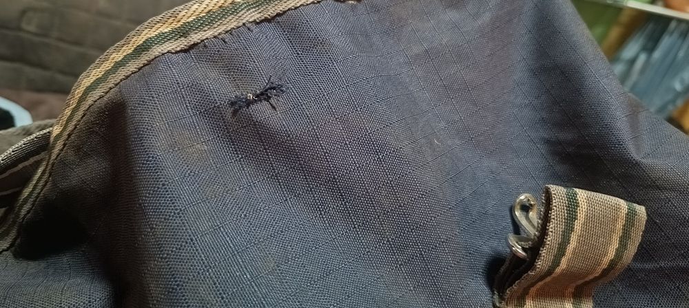 Derka 165cm thermomaster 300g jak nowa