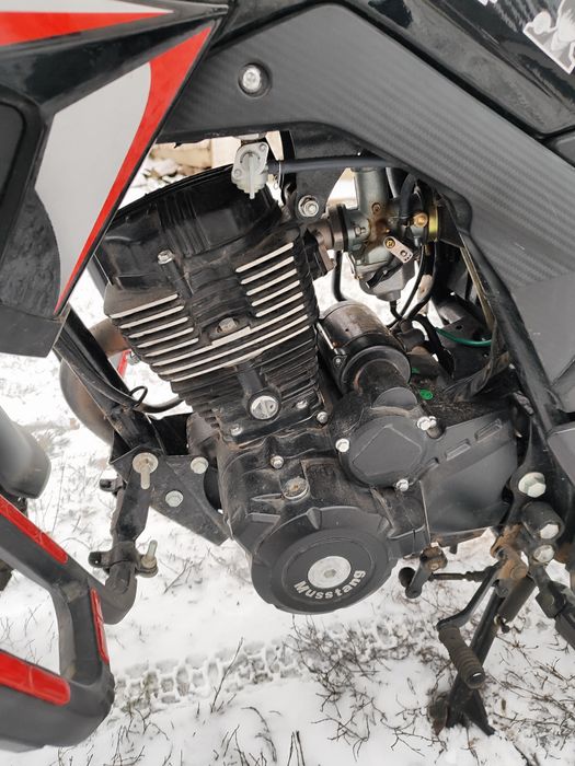 Musstang fortune 200