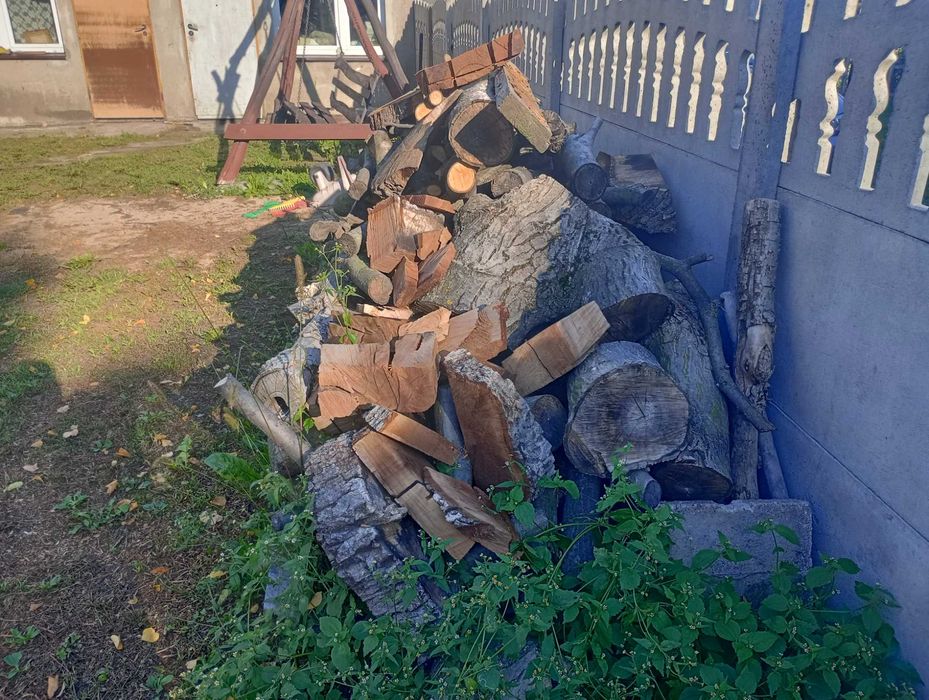 Drewno orzech wloski