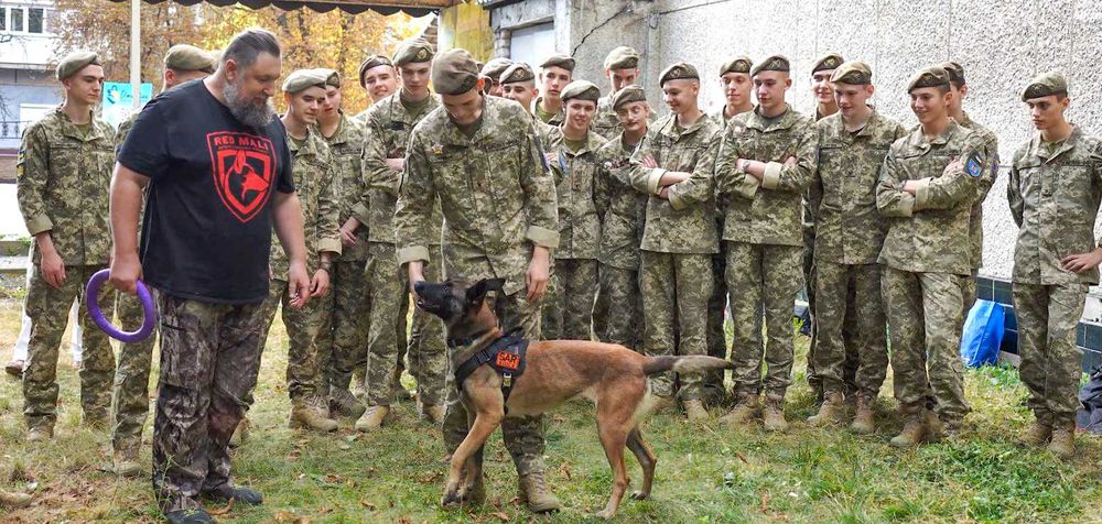Малінуа, бельгійська вівчарка.  Розплідник RED MALI малинуа