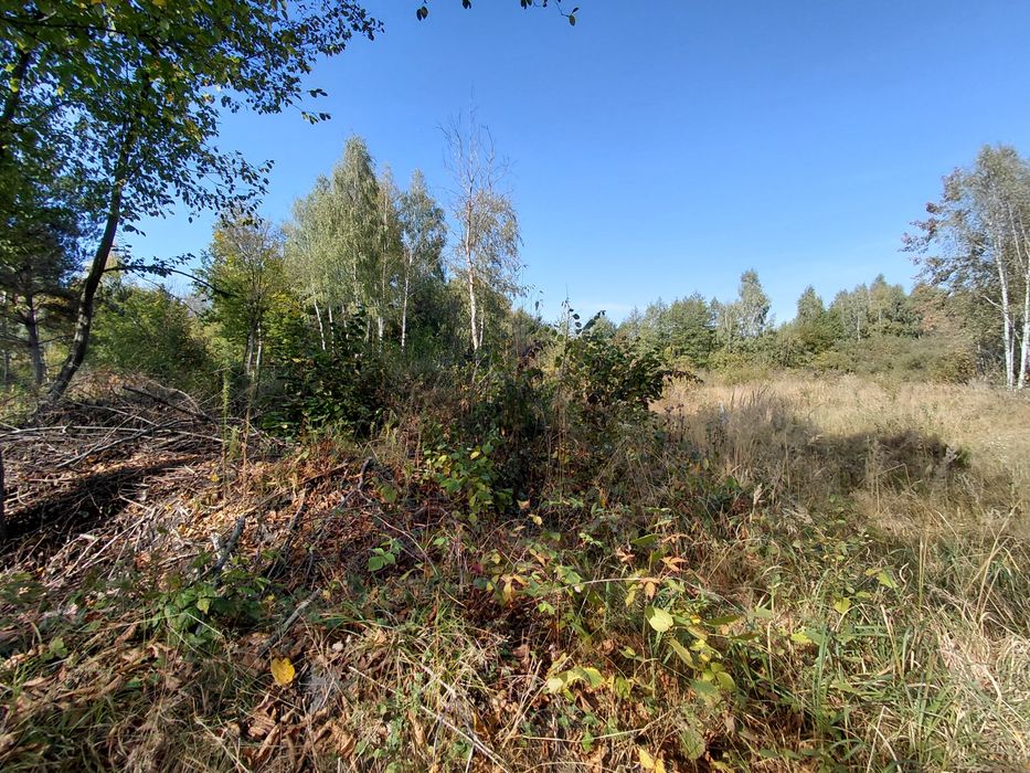 земельна ділянка під забудову