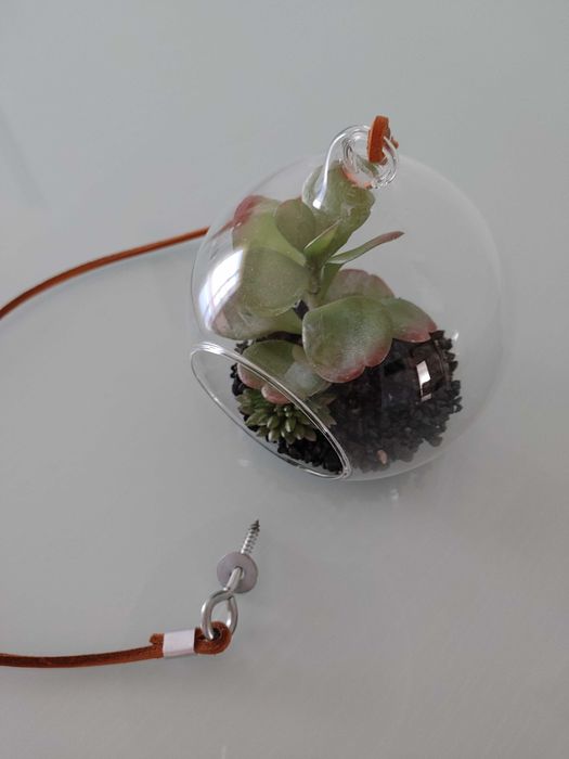 Terrário vidro com planta