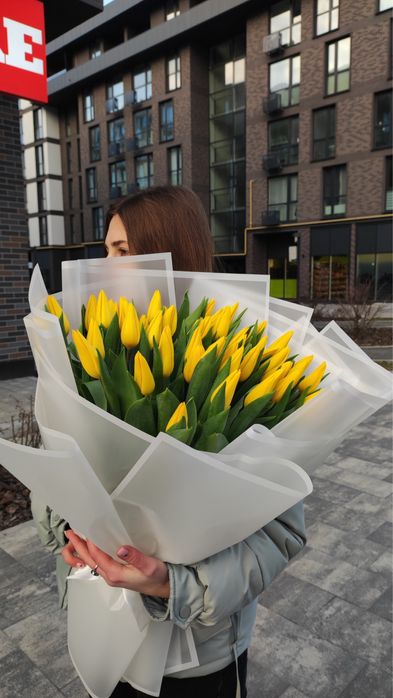 101 тюльпан  львів | ТЮЛЬПАНИ ЛЬВІВ | Тюльпани