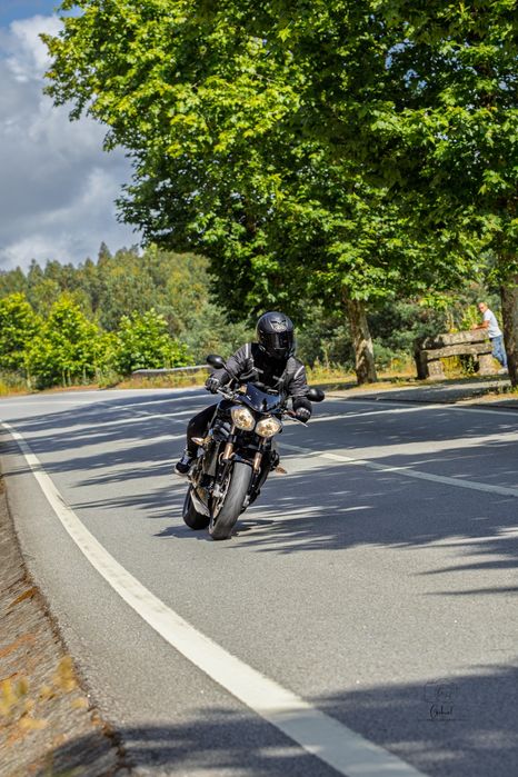 Triumph Speed Triple 1050 94