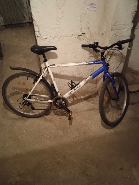 Rower męski sportowy