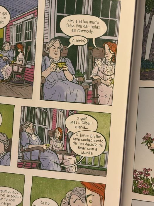 Novela Gráfica - Ana dos Cabelos Ruivos. Livro juvenil.