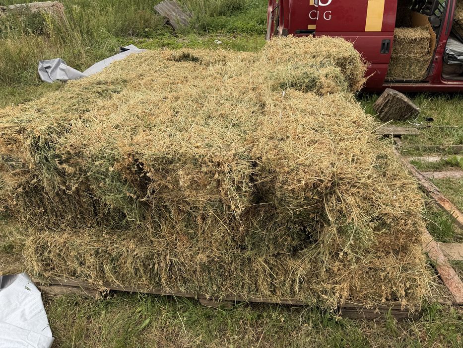Продам тюки люцерни | Якісна,Суха, чиста, поживна