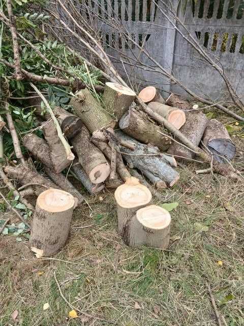 Drewno na opał, w kawałkach