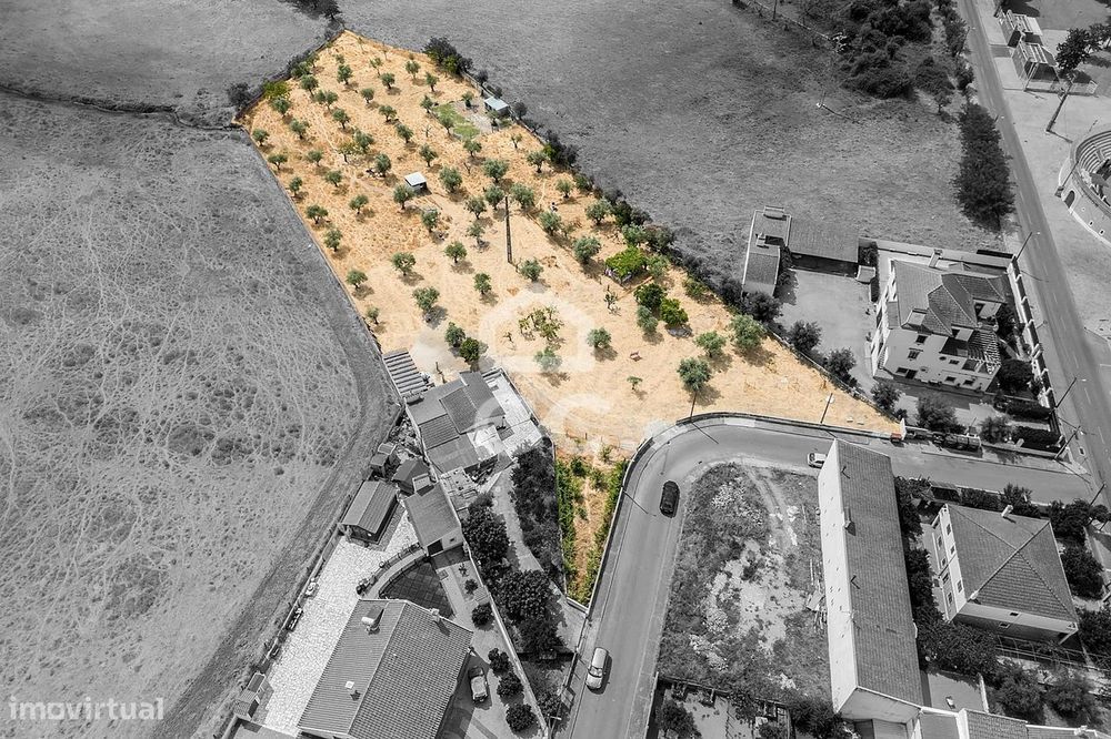 Terreno Rústico com Projeto de Moradia | Santa Eulália, Elvas