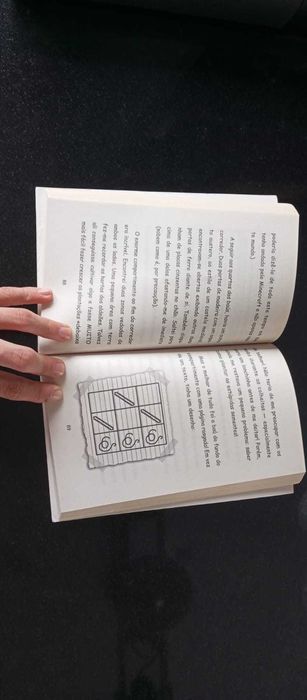 Livro de Minecraft-Diário de um Minecrafter 5