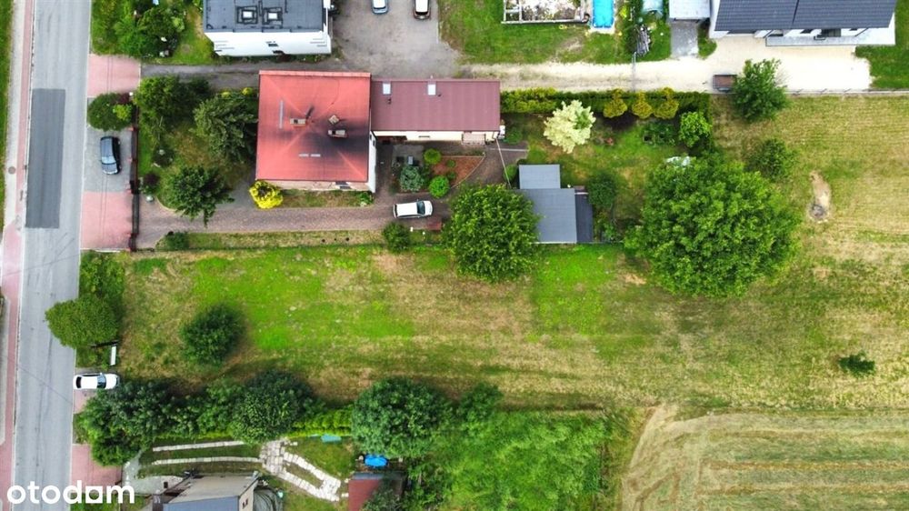 Duża działka przy lesie - Widok 2