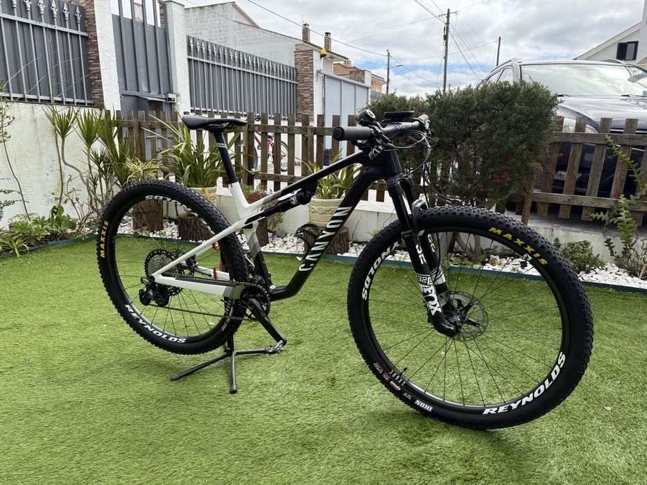 Canyon Lux Word Cup Carbono