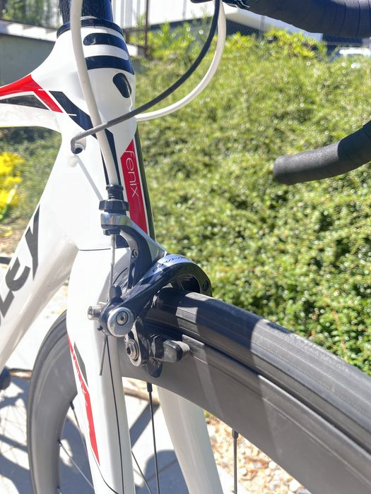 Rower Ridley Fenix roz 52