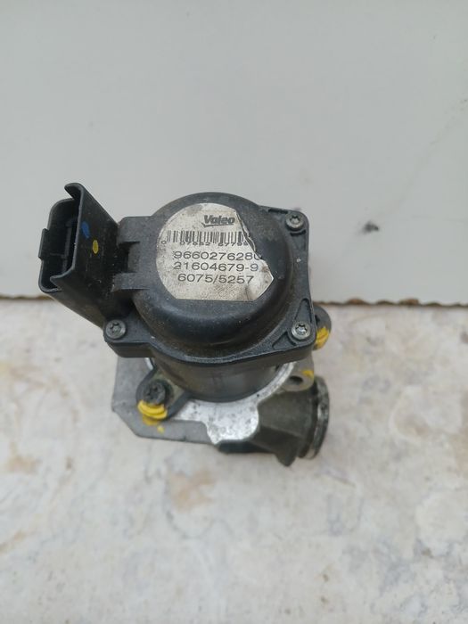 Válvula EGR Peugeot/Citroën/Ford