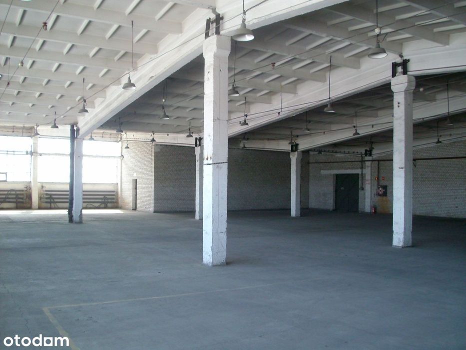 Park Przemysłowy ELANA - hala magazynowa 1650 m2 - NAJTANIEJ W TORUNIU