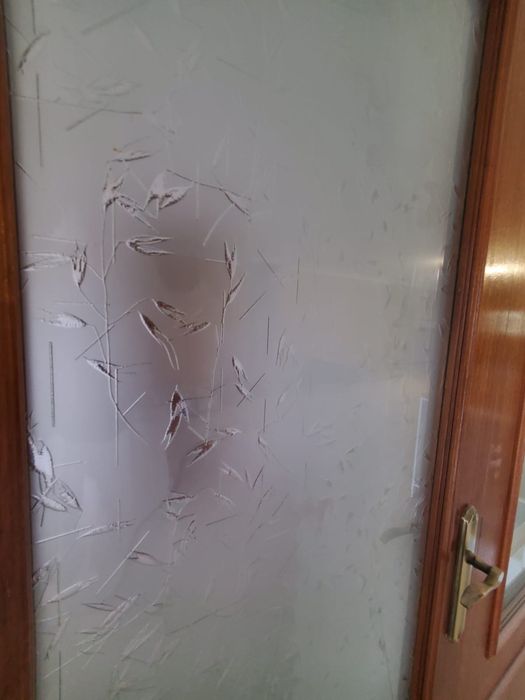 Porta interior c/ vidro