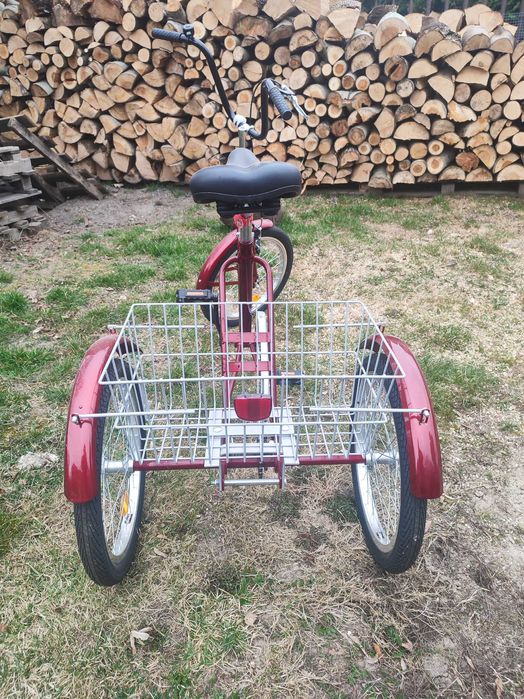 Rehabilitacyjny Rower Trójkołowy "TOLEK"