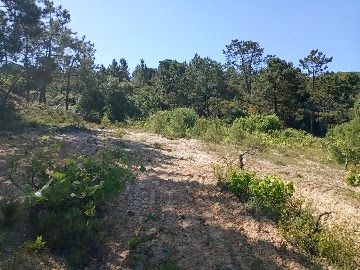 Terreno Rústico em Fornos – Aldeia do Meco (Sesimbra)