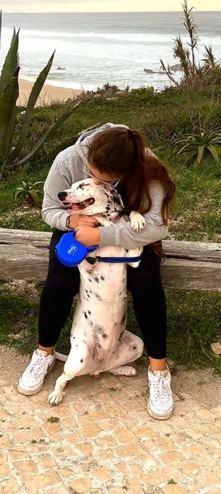 Petsitting na zona de Cascais
