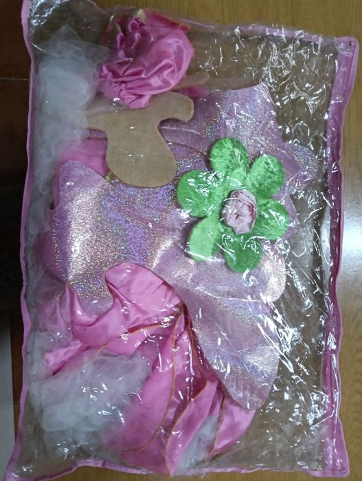 Fatos de carnaval