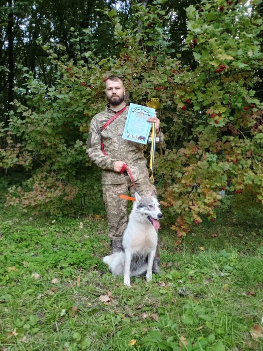 Лайка для в'язки трьох кратний Польовий Чемпіон