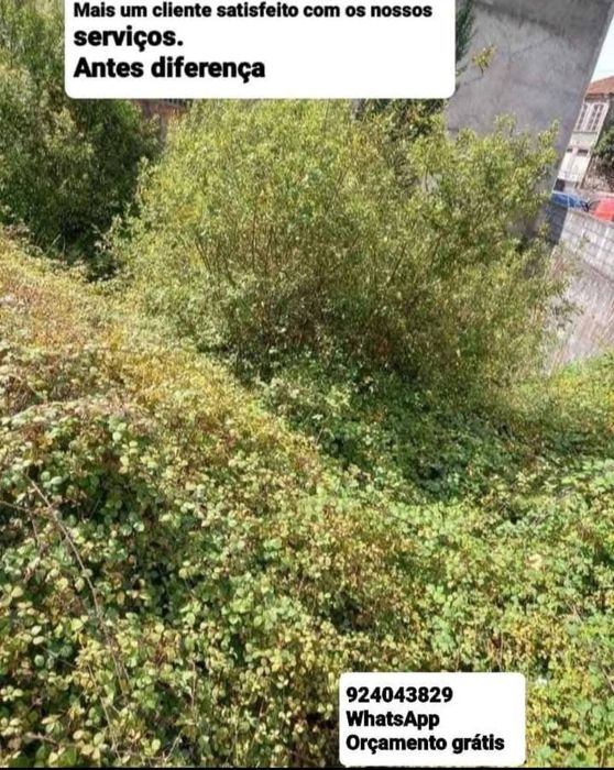 Faço Limpeza Geral Terrenos Jardins e Quintas Abate Árvore Demolição Recolha Entulho Madeira Pladur Monos Resíduos Sucata