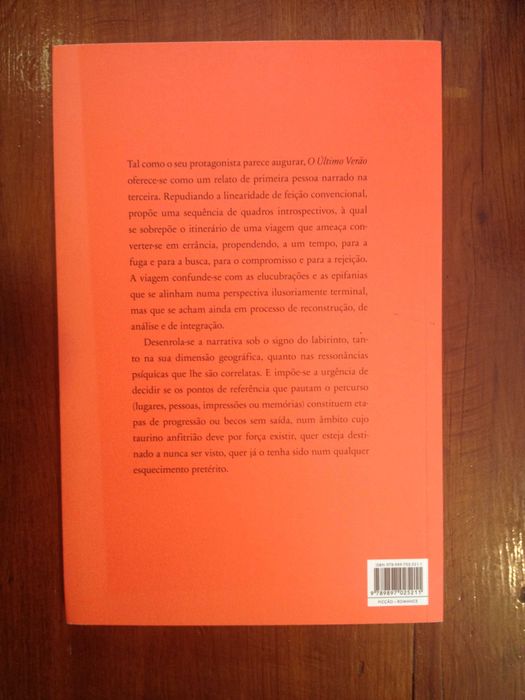 A. Ferreira da Silva - O último verão