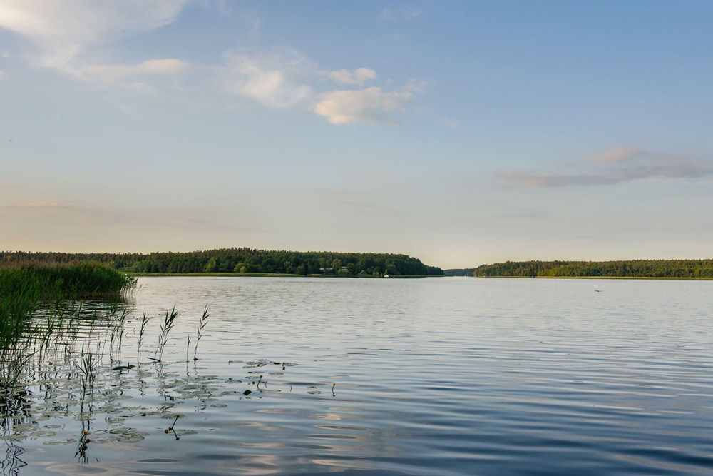 Domek Zielony Jedyny na działce mazury do wynajęcia Mikołajki Iznota