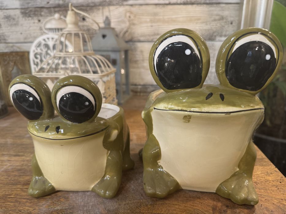 Oslonki na doniczke zabki