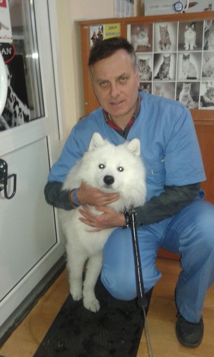 Акция!Стерилезация кошки кастрация кота Ветеринар на дом