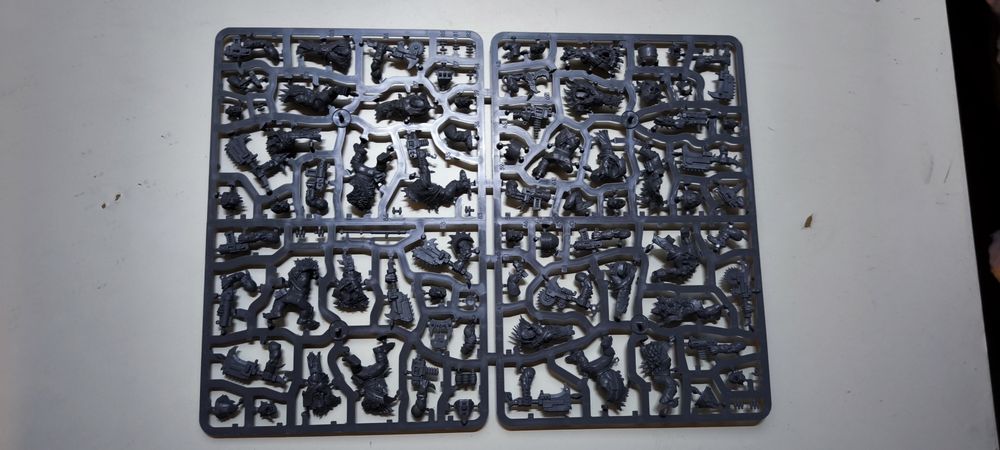 Warhammer 40000 Armageddon Orks, Beast Snagga Boys, Squighogi - wypraska