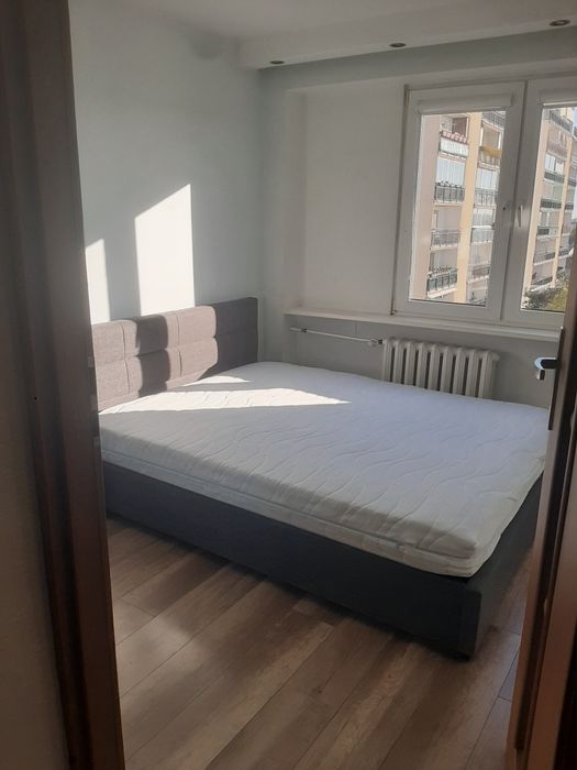 Do wynajęcia mieszkanie 72m