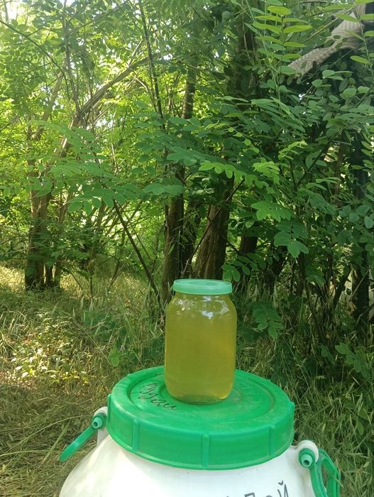Майский мед цього року