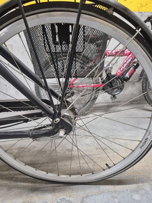 Rower Everton city zone