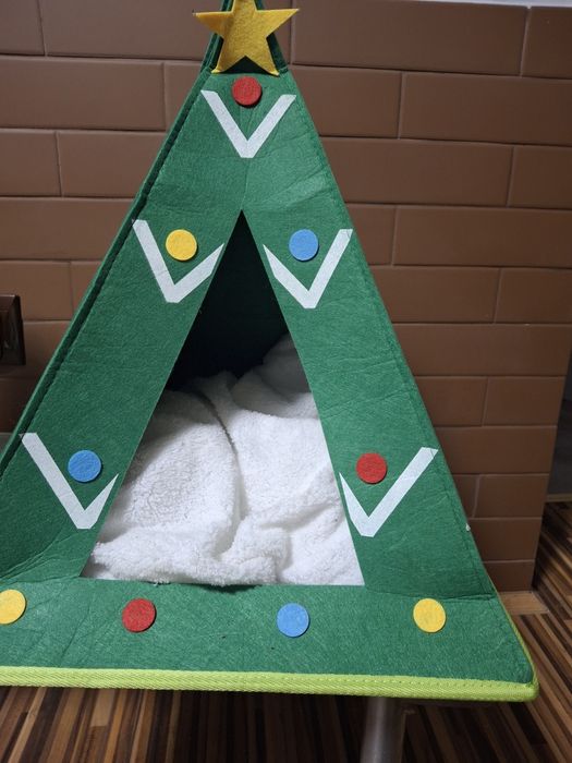 Domek i transportowa dla kota