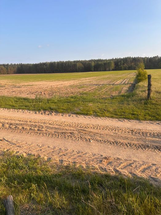 Działka cicha okolica 30 ar - Więcej