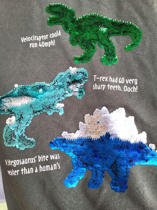 Bluza 122/128 dinozaury