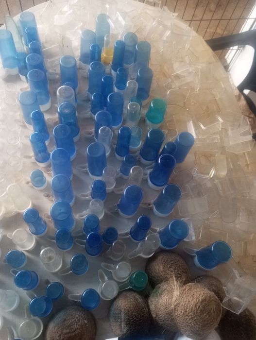 Utensílios de pássaros