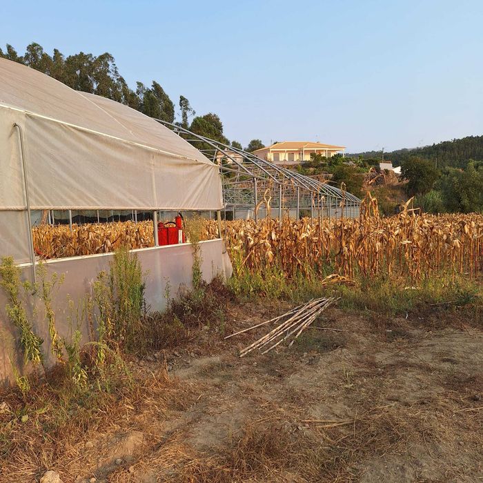Estrutura metálica estufas usadas, em bom estado