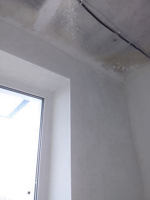 Шпаклівка мєханізована