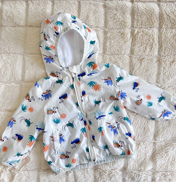 Вітровочка дитяча