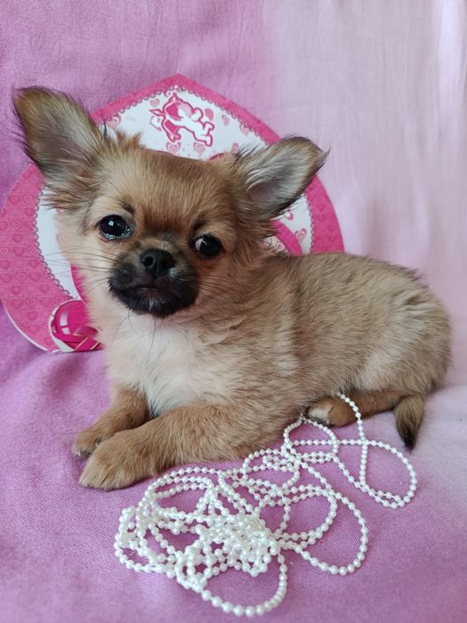 Любов з першого погляду!!!