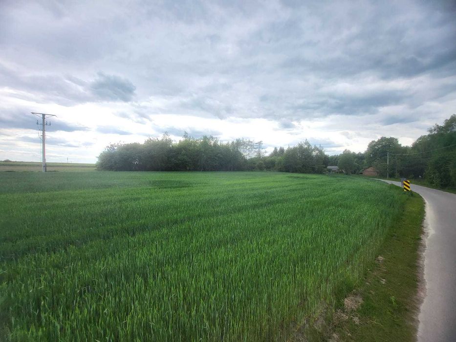 Maszki gmina Wojciechów nr ewid. 801/1 - spokojna, zielona okolica z widokiem na rozległe pola uprawne, las, blisko rzeki Bystra, 15 km od Lublina - Widok 4