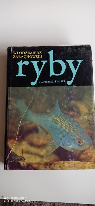 Ryby poradnik monografia