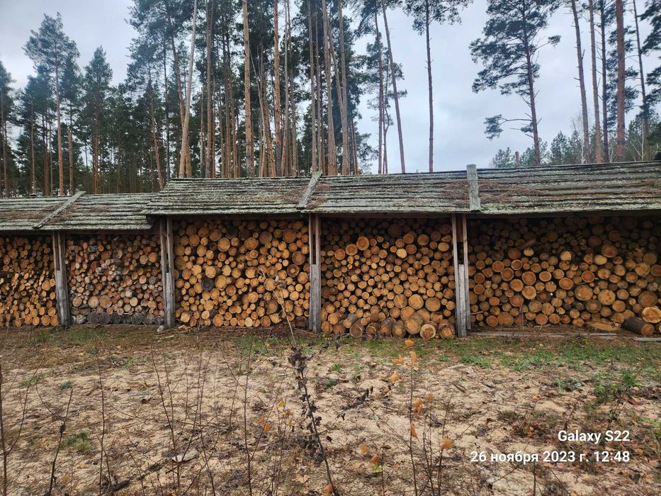Продам дрова різного виду