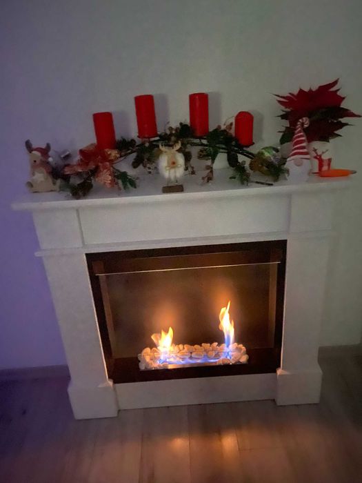 bio kominek sprzedarz