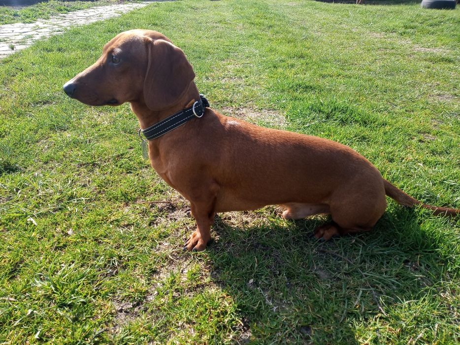 В'язка такси Луцьк