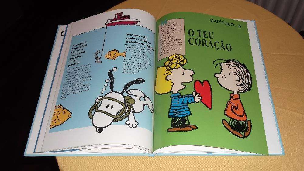 livro Enciclopédia o teu corpo maravilhoso