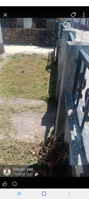 Serviços de jardinagem