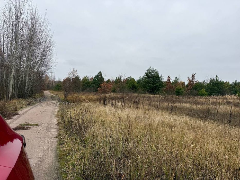 Дмитрівка. 8 сот Під Будівництво. З СОСНАМИ. Без комісії